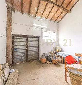 Foto annuncio 24