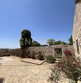 Foto annuncio 28