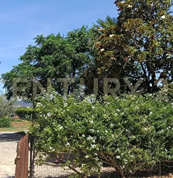 Foto annuncio 17