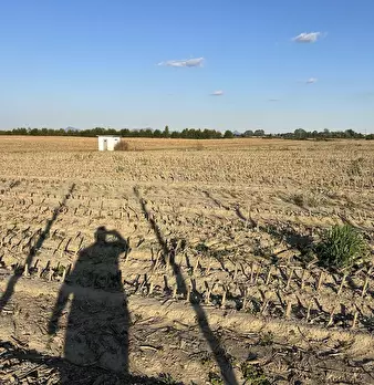 Foto annuncio 71