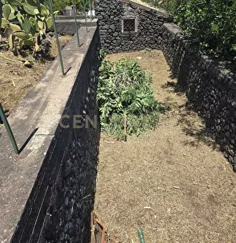 Foto annuncio 27