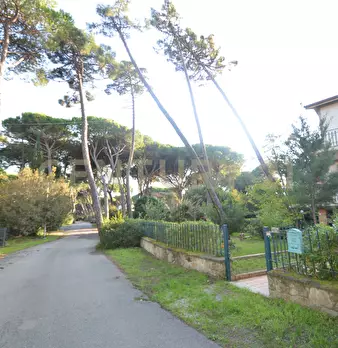 Foto annuncio 5