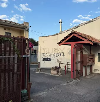 Foto annuncio 13