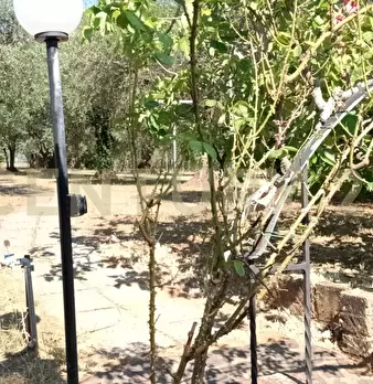 Foto annuncio 21