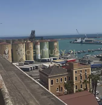 Foto annuncio 7