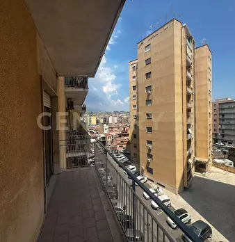 Foto annuncio 12