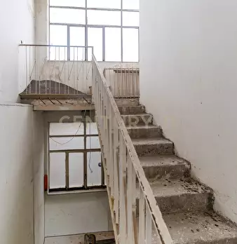 Foto annuncio 31