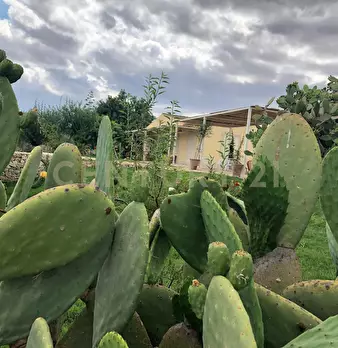 Foto annuncio 19