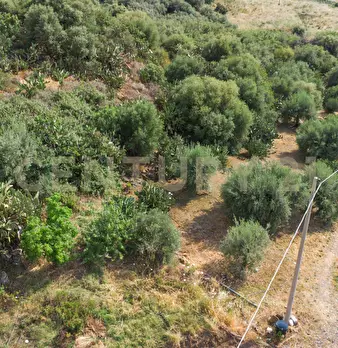 Foto annuncio 18