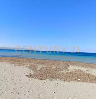 Foto annuncio 29