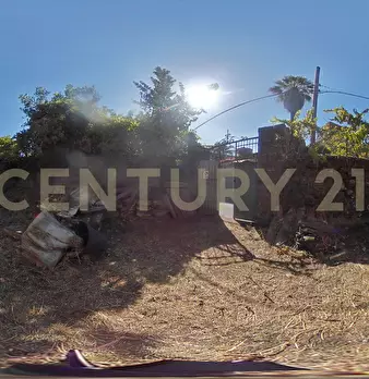Foto annuncio 30