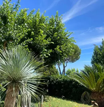 Foto annuncio 6