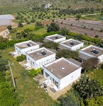 Foto annuncio 1