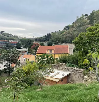 Foto annuncio 41