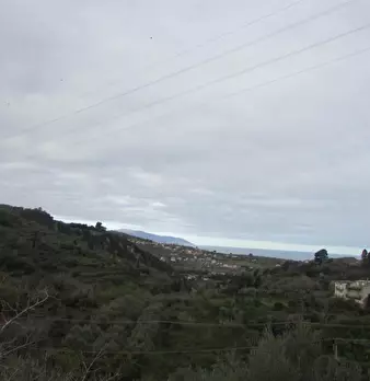 Foto annuncio 18