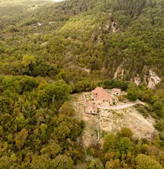 Foto annuncio 9