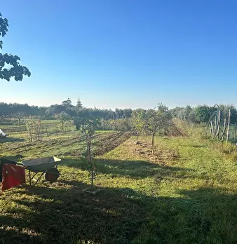 Foto annuncio 6