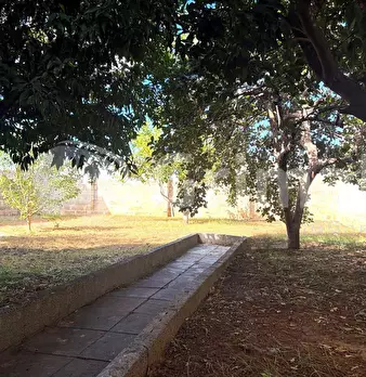 Foto annuncio 39