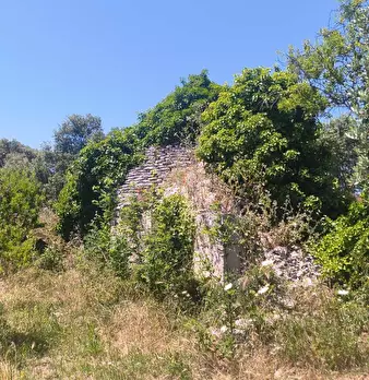 Foto annuncio 3