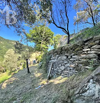Foto annuncio 11