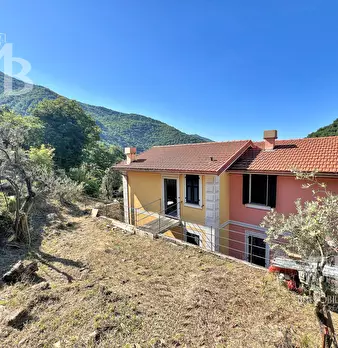 Foto annuncio 6