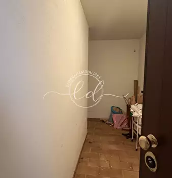 Foto annuncio 81