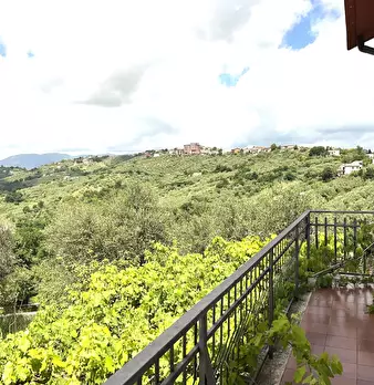 Foto annuncio 24