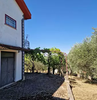 Foto annuncio 13