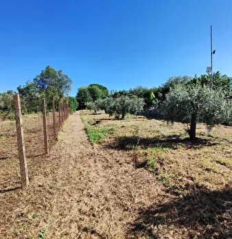 Foto annuncio 9