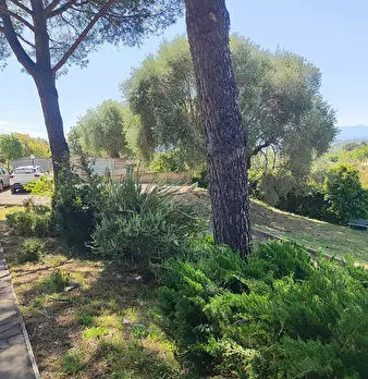 Foto annuncio 25
