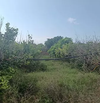 Foto annuncio 3