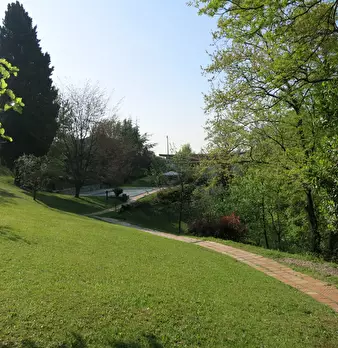 Foto annuncio 22