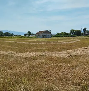 Foto annuncio 11