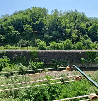 Foto annuncio 47