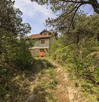Foto annuncio 71