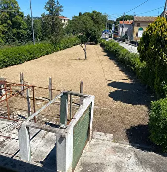 Foto annuncio 4
