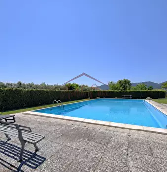 Foto annuncio 97