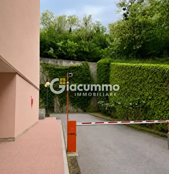 Foto annuncio 28