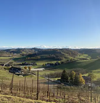 Foto annuncio 71