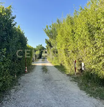 Foto annuncio 12