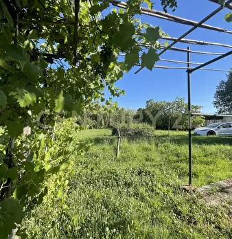 Foto annuncio 4