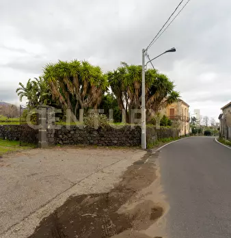 Foto annuncio 91