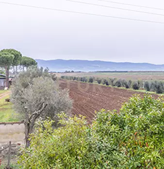 Foto annuncio 30