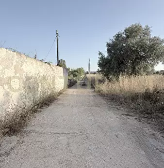 Foto annuncio 24