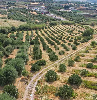 Foto annuncio 19