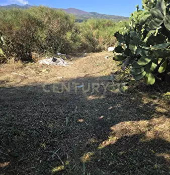 Foto annuncio 29