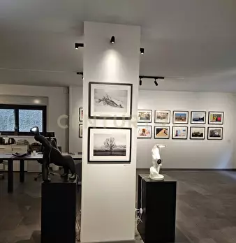 Foto annuncio 15
