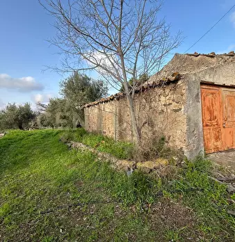 Foto annuncio 8