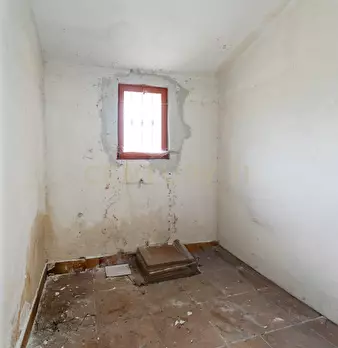 Foto annuncio 69