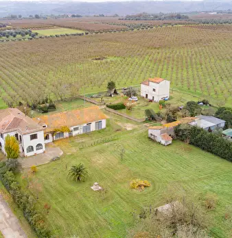Foto annuncio 27